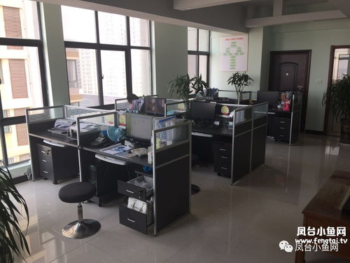 各大青年企業(yè)介紹