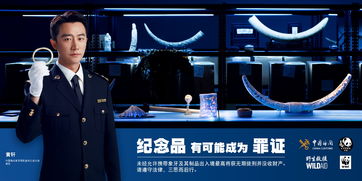 象牙禁貿(mào)一周年 海關總署 林草局聯(lián)合環(huán)保組織發(fā)布公益廣告